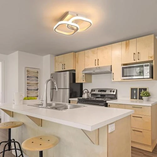 Détail de Plafonnier LED 22W, Luminaire Moderne Acrylique Blanc