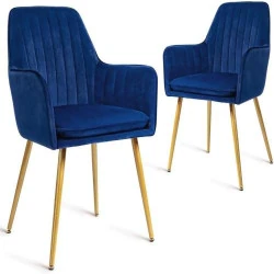 Lot de 2 Fauteuils Modernes en Velours pour Salon et Cuisine
