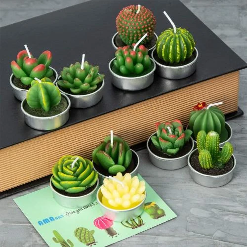 Zoom sur Bougies Succulentes Artisanales, Lot de 12, Décoration Maison