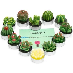 Bougies Succulentes Artisanales, Lot de 12, Décoration Maison