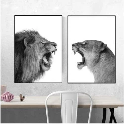 Affiche Lion Lionne Noir Blanc Art Animaux Murale