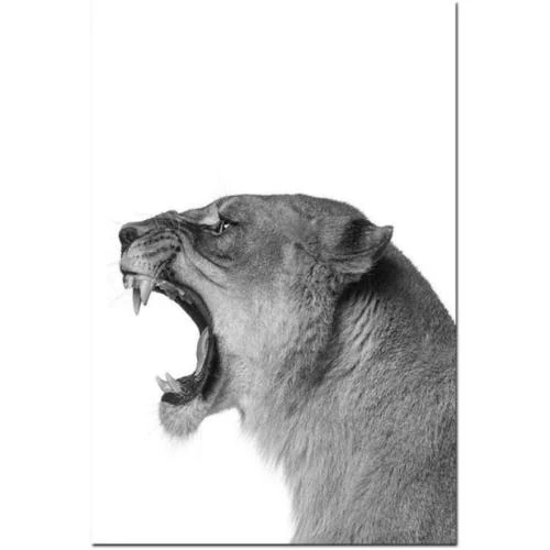 Détail de Affiche Lion Lionne Noir Blanc Art Animaux Murale