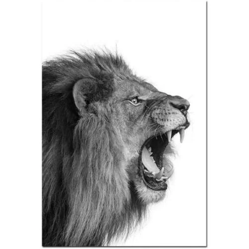 Zoom sur Affiche Lion Lionne Noir Blanc Art Animaux Murale
