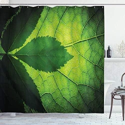 Rideau de Douche ABAKUHAUS en Tissu, Motif Arbre Brésilien