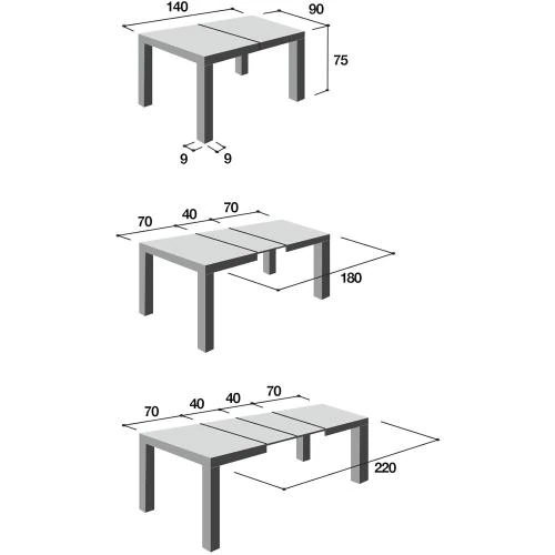 Zoom sur Table extensible moderne Icreo Dionisio chêne rustique