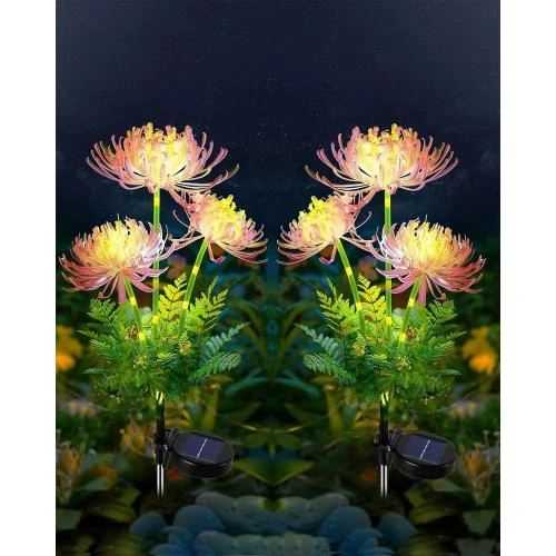 Lampes solaires de jardin Joysing, décoratives, étanches - Vue principale