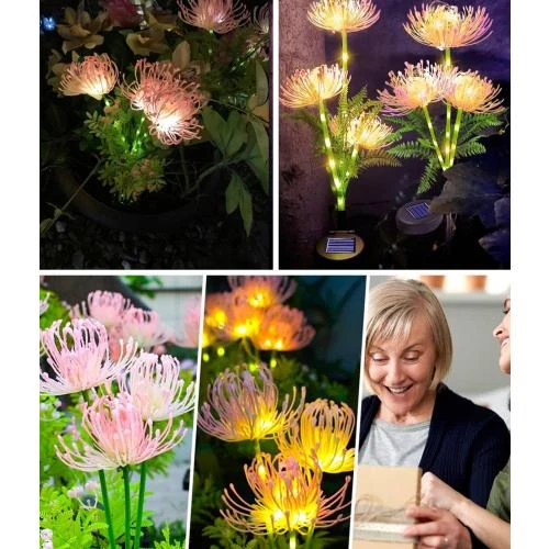 Zoom sur Lampes solaires de jardin Joysing, décoratives, étanches