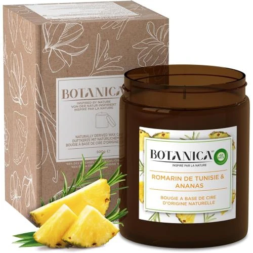 Bougie Parfumée Air Wick Botanica Romarin, Ananas, Naturelle - Vue principale