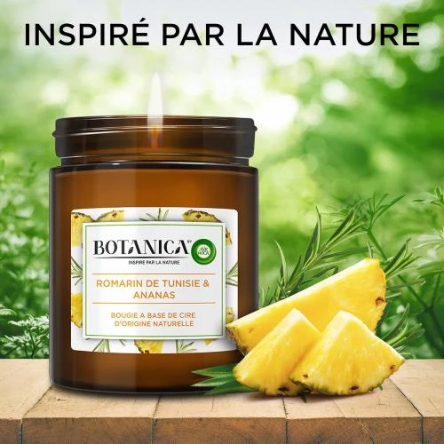 Zoom sur Bougie Parfumée Air Wick Botanica Romarin, Ananas, Naturelle
