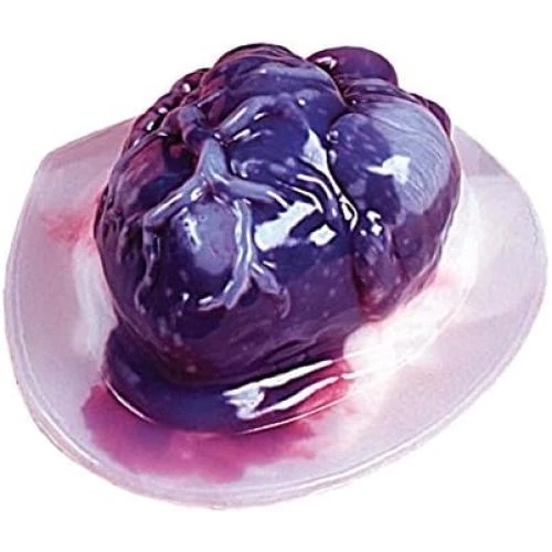 Zoom sur Moules Halloween, gelée cerveau, moules cour effrayants
