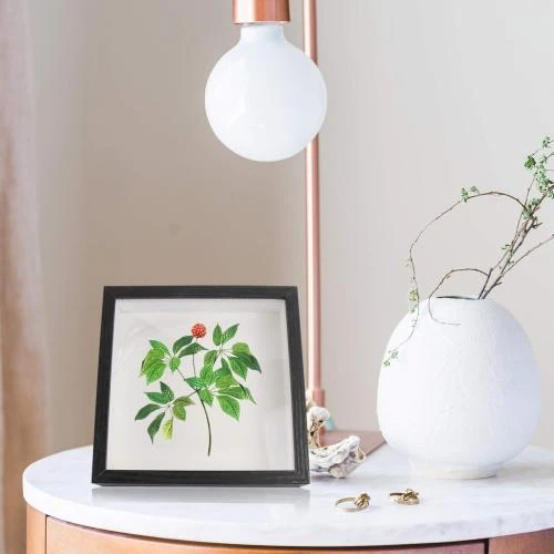 Détail de Ombre Boîte Cadre Plantes, Photos, Médailles, Décor Maison