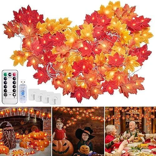 Guirlande lumineuse LED 40, décoration automnale, télécommande, feuilles - Vue principale
