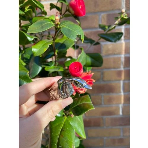Détail de Repose couteaux argent, 12 pièces, Bmtick, coffret bois