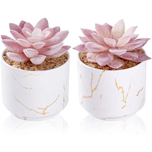 Plantes Succulentes Artificielles Zenida pour Décoration Bureau Esthétique - Vue principale