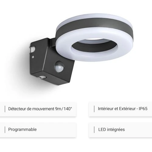 Détail de Luminaire Extérieur LED Anthracite, Détecteur de Mouvement 20W