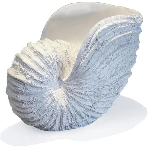 Sculpture Coquillage Nautilus Huey House, Décoration Plage - Vue principale