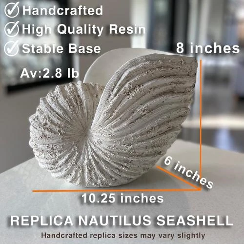 Zoom sur Sculpture Coquillage Nautilus Huey House, Décoration Plage
