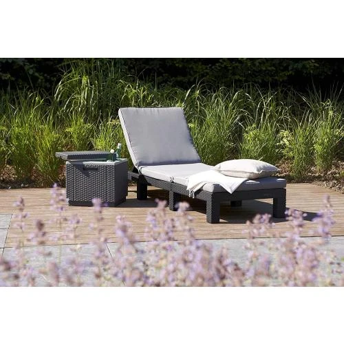 Détail de Chaise Longue Daytona SL Keter, Plastique Gris Graphite