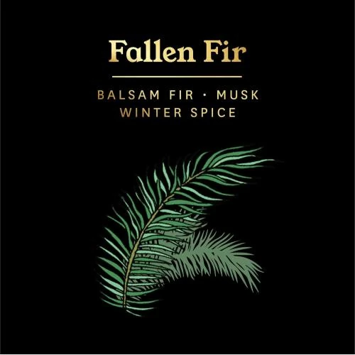 Zoom sur Otherland Bougie parfumée Fallen Fir, Parfum boisé, Luxe