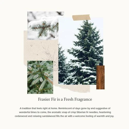 Détail de Bougie moulée Thymes Fraiser, parfum pomme de pin