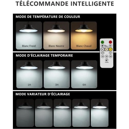 Zoom sur Lampe solaire extérieure suspendue, télécommande, étanche IP65