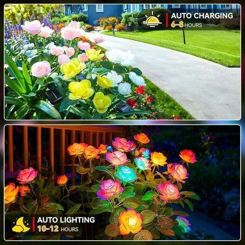 Zoom sur Lampes solaires KOOPER, 20 roses LED couleur, extérieur