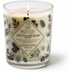 Bougie Parfumée Fruits des Bois, 50h, Element Terre