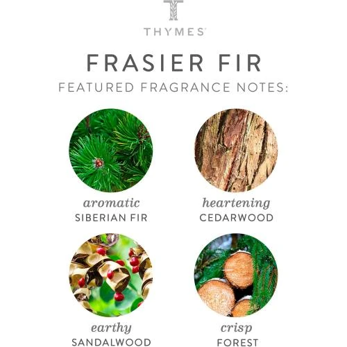 Zoom sur Bougie Thymes Frasier Sapin Édition Limitée Statement