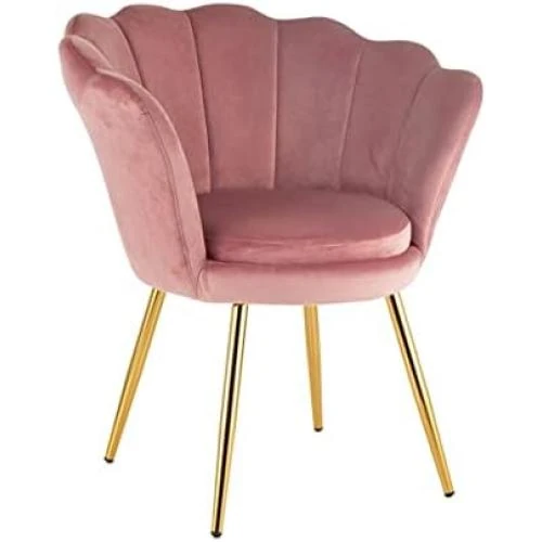 Fauteuil en Velours Coquillage avec Pieds Dorés - Confort et Style Pour Salon - Vue principale