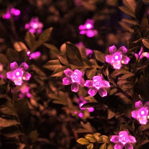 Détail de Guirlande Lumineuse Solaire Fleur de Pêche, 50LED Rose