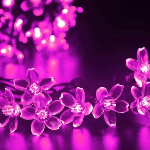 Zoom sur Guirlande Lumineuse Solaire Fleur de Pêche, 50LED Rose