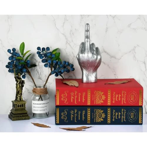 Zoom sur Statue Doigt 39 Honneur, Cadeau Amusant, Ds. Distinctive Style