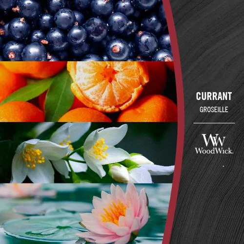 Détail de Bougie jarre parfumée Currant, WoodWick, ambiance chaleureuse