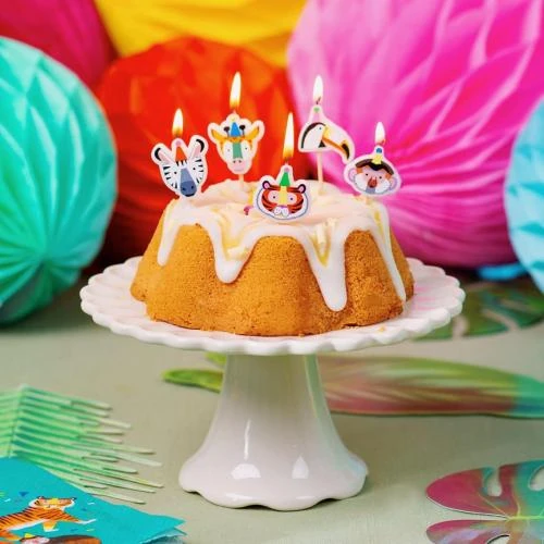 Détail de Bougies Anniversaire Animaux Multicolores, Lot de 5