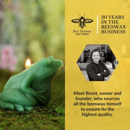 Détail de Bougie grenouille verte Big Dipper Wax Works, cire d'abeille