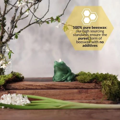 Zoom sur Bougie grenouille verte Big Dipper Wax Works, cire d'abeille