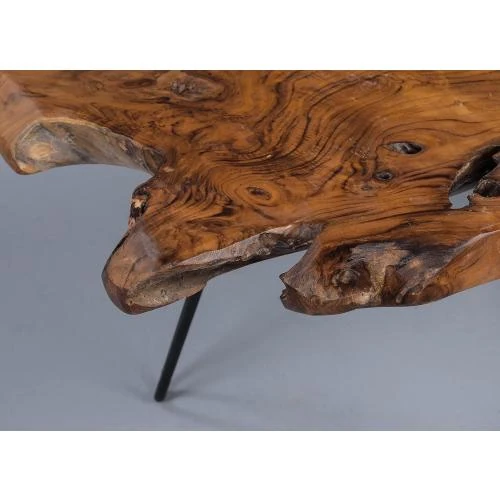 Détail de Table Basse M2 Kollektion, Bois de Teck, Marron