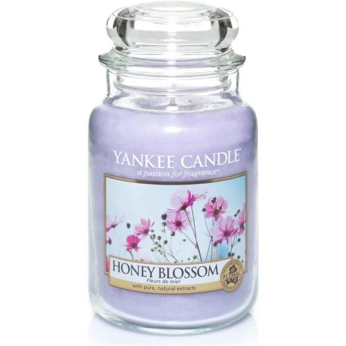 Bougie Parfumée Nectar de Miel, Violet, Yankee Candle - Vue principale