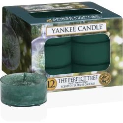 Bougies Chauffe Plat Yankee Candle, Sapin Merveilleux, 12 unités