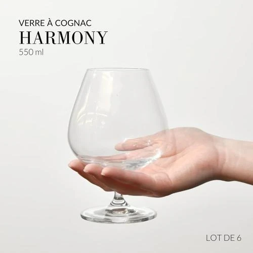 Zoom sur Krosno Verres Cognac Brandy Whisky Lot 6 Lavables