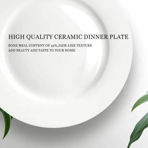 Zoom sur Assiettes plates IQCWOOD, porcelaine blanche, modernes, résistantes
